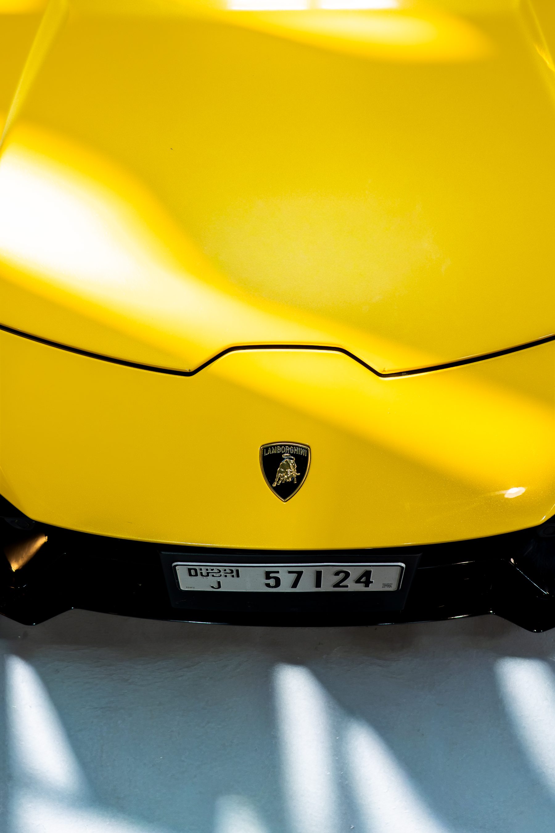 Lamborghini hood